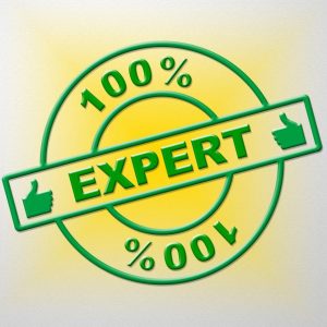 100-expert
